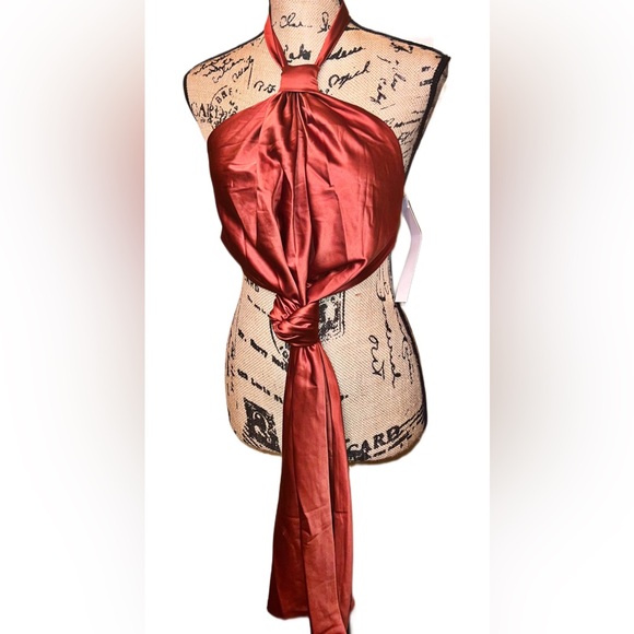 Upscale Shiny Satin Copper Tie Front Apron Halter Top - Picture 5 of 14